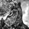 Artful Owl