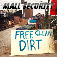 Mall Security