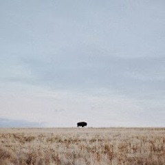 Sindre Strømnes Nordvoll