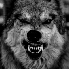 Andrew Vargas Morales