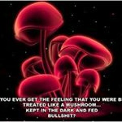 Claire Badger Cochrane