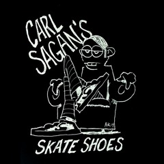 Carl Sagan's Skate Shoes