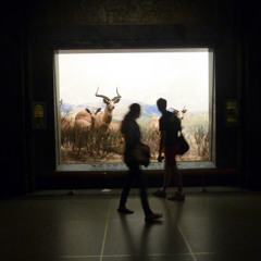 Jessie Wright-Mendoza