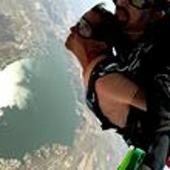 vector fusions andre ramos