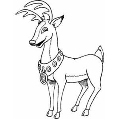 The Reindeer