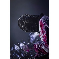 Warnasaka Antamaruari