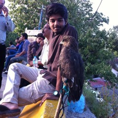 Muhammad Umer 34