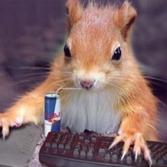 RealCONKER15