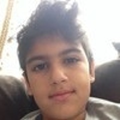 Erfan Atighinejad