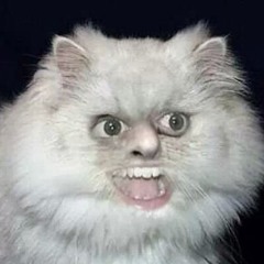 Snoka.Boo.Cha.Cha