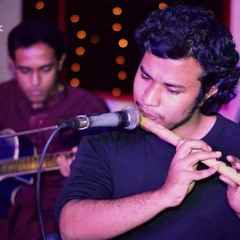 John Denver - Annie's Song acoustic instrumental cover (guitar and flute)