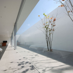 The House Always Wins