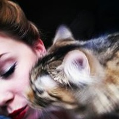 Stephanie Shephard 3