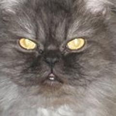 Michael David Dubose