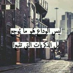 Amr Mohamed 519
