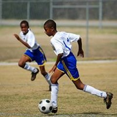 Peter Michael 27