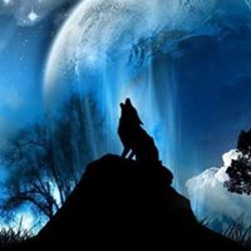 Lobo Herido 2 S Stream On Soundcloud Hear The World S Sounds