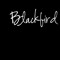 Blackbirdnz