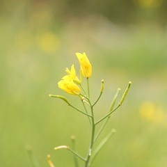 06. 인형의 꿈 (좋은 사람)