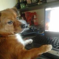 Roll 20 - Ambient Desert