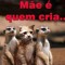 job bengui simao Mmg
