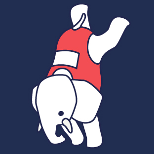 Elephant Gym