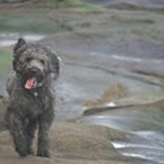 Bridget Olivia Deighton