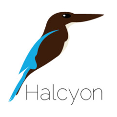 DJ Halcyon