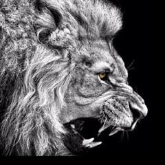 Ti Thug's Productions