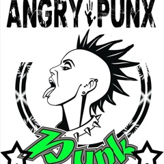 Angry'Punx