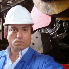 Ricardo Palacios M.