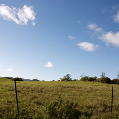 Blame It On My Youth