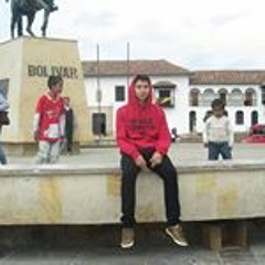 Javier Andres Ariza