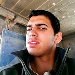 Tomer Brener