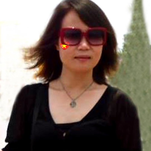 Mai Phiên’s avatar