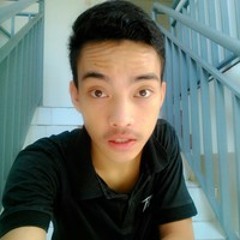 erwiins widiarsanawirawan