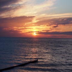 Robert Niestroj-Pahl