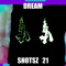 DreamShotz21