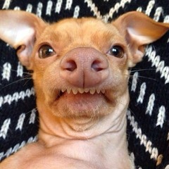 Gerrie van Herwijnen