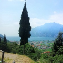 lavergnesohanlavergne