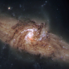 Sam Arnold Soundtracks