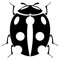 *Ladybug*