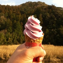 SHIGA ELECTRONICAMAYA