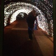 Caroline Taylor Calhoun