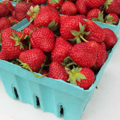 Tisha McNaughton Pattison