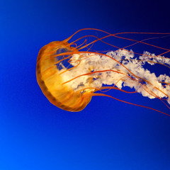 david bernal gonzalez 1