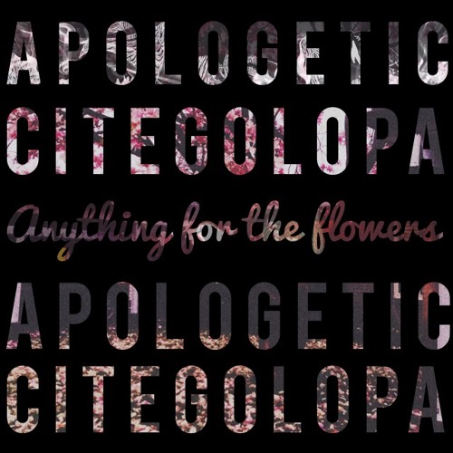 SoundCloud profile picture for @apologetic