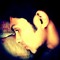 shereef ebrahim