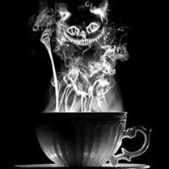 Matthias Winkelmann 1