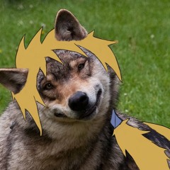 SharkKun Wolf